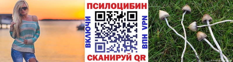 Галлюциногенные грибы Psilocybe нарко площадка Telegram Красноуфимск наркотики